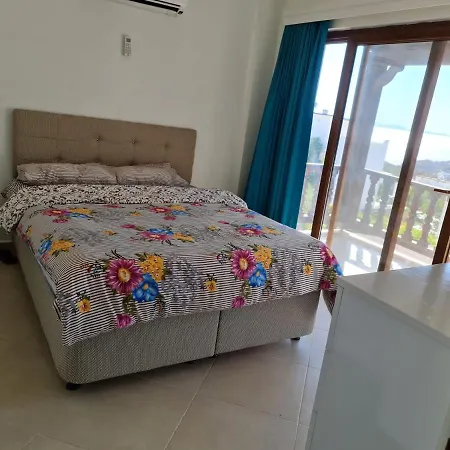 Summer In Bodrum With 2 Car Parking 4 Bedroom 3 Bathroom 2 Garden فيلا مصيف مكونة من 4 غرفة و 3 حمام و حديقتين في بودروم تركيا * Миляс