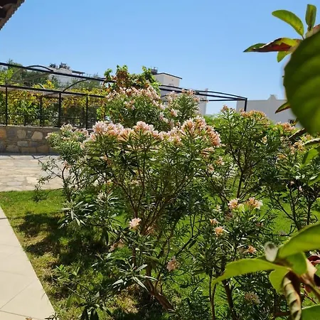 Summer In Bodrum With 2 Car Parking 4 Bedroom 3 Bathroom 2 Garden فيلا مصيف مكونة من 4 غرفة و 3 حمام و حديقتين في بودروم تركيا * Миляс